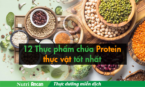 12 thực phẩm giàu protein thực vật tốt nhất khuyên dùng trong mùa đại dịch