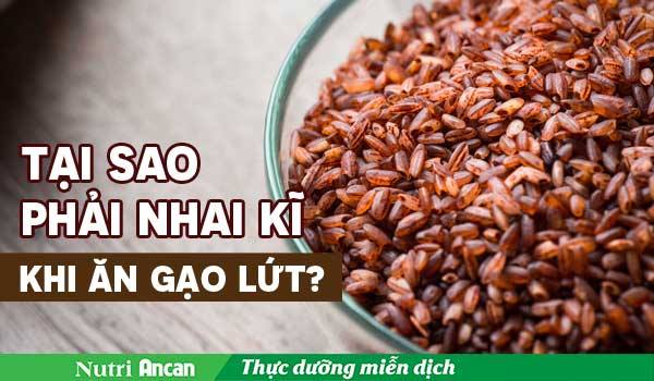 Vì sao ăn gạo lứt phải nhai thật kĩ?