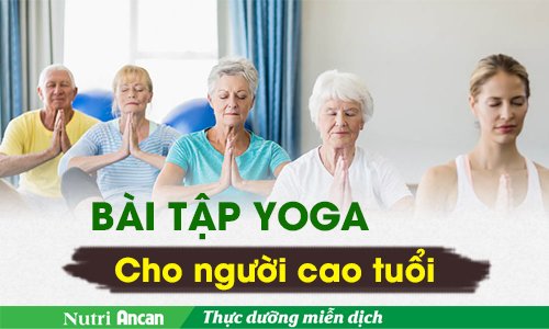 8 Bài tập Yoga cho người cao tuổi thêm dẻo dai và sống thọ